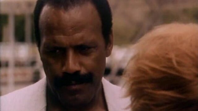 Robin Trapp & Fred The Hammer Williamson softcore scene