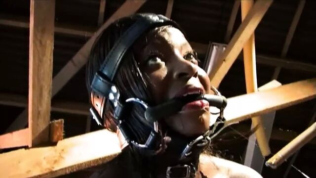 CMNF - Ebony humiliating pony girl training