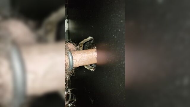 Bookstore StepDaddies