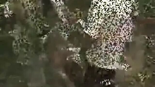 Dogging in the Woods with special ending