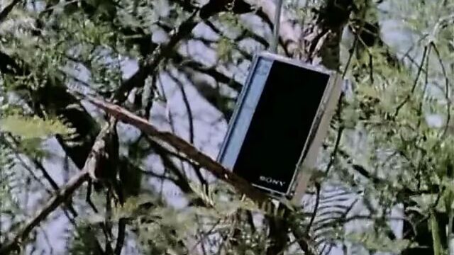 Bouncing Tits in Dancing Girls Compilation (1960s Vintage)