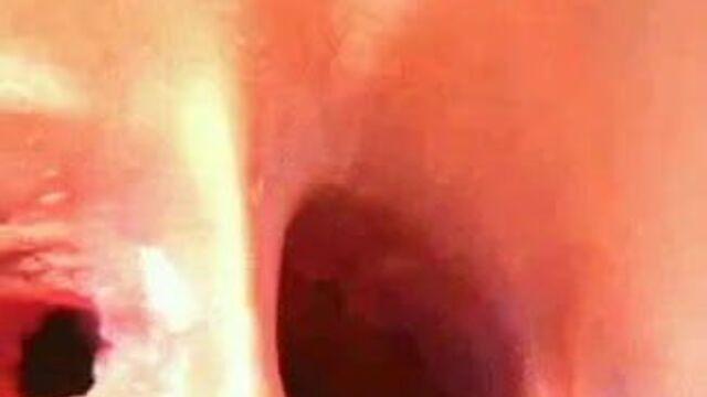 Mounted Cossack fucked not