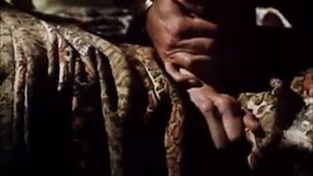 Anal sex scenes from mainstream movies and TV