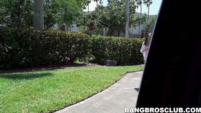 Delectable teen Britt James picked up and fucked hard