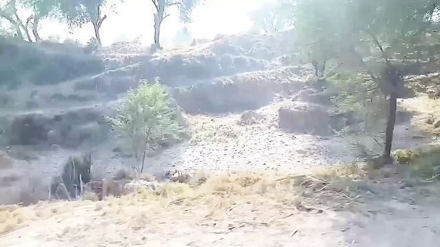 Truck driver sex with Pakistani randi girl on road fucked MMS