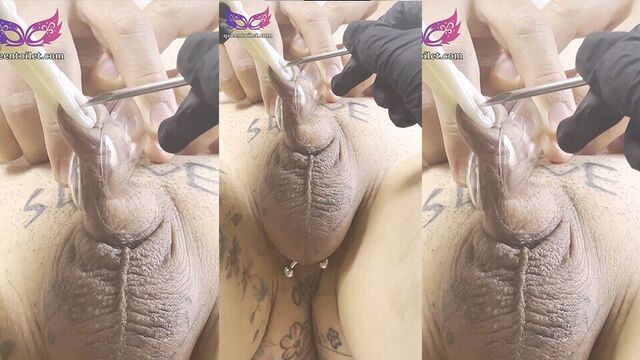 Korean Queens Toilet