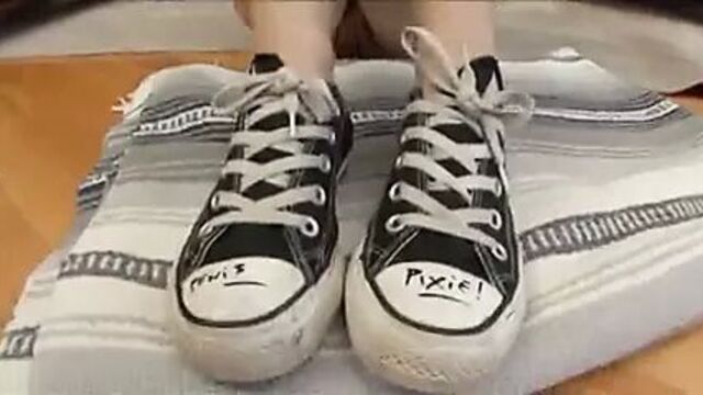 Katie St Ives Swallows 4 Loads