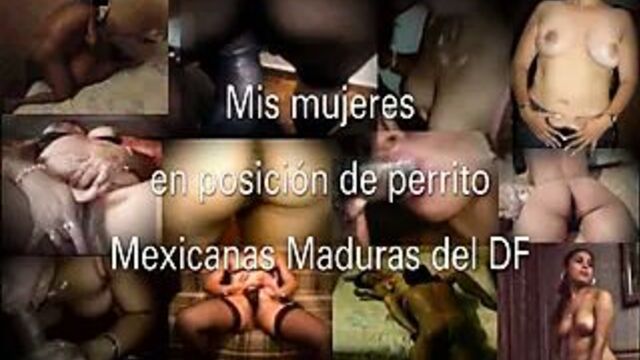 Mis Mujeres Maduras Mexicanas Cojidas de a Perrito