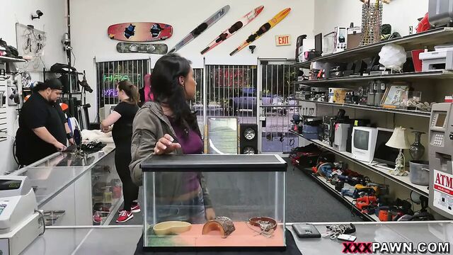 Pawn A Bearded Dragon For A White Anaconda - XXX Pawn