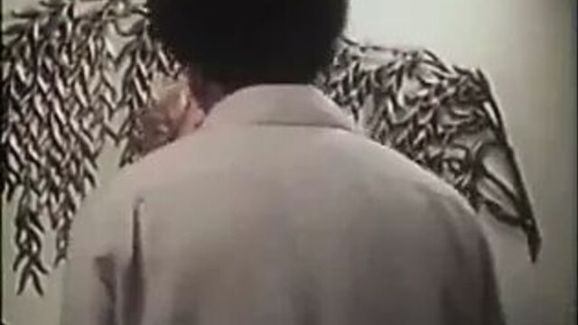 Early 70's Housewife Fantasy