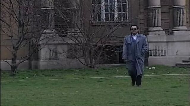 Old Bitches - (Episode 14 - American Vintage Experience)