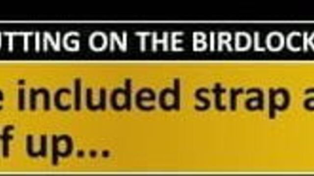 Birdlocked Chastity Device Fitting