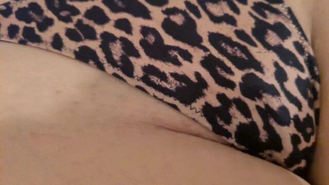 TIGER PANTIES 4K 60FPS